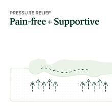 Load image into Gallery viewer, Spa Sensations by Zinus Theratouch Colchón de Memory Foam de 6 y 12 ",