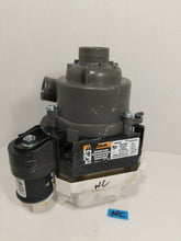 Load image into Gallery viewer, Maytag bomba de motor de Circulación De Lavavajillas W10591556 / 120V-60HZ
